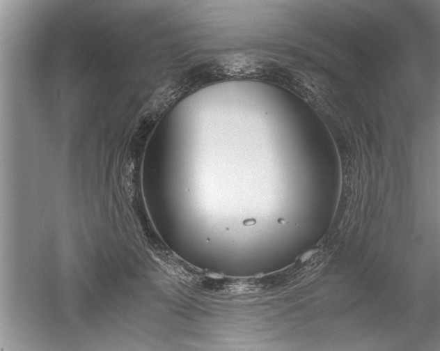 X0000052550319200507152206