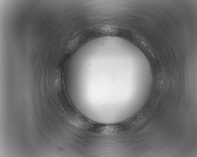 X0000052550320200507152206