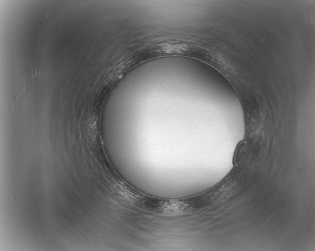 X0000052550321200507152206