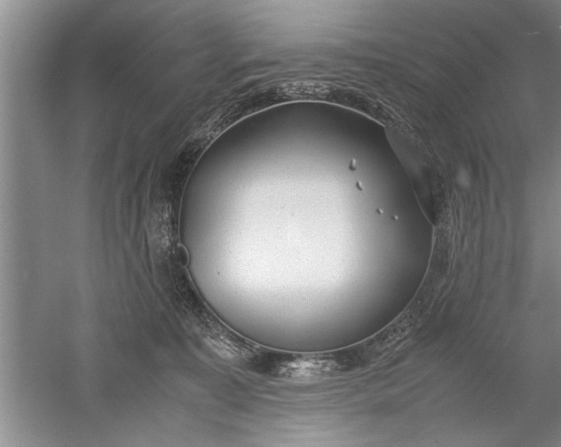 X0000052550323200507152206