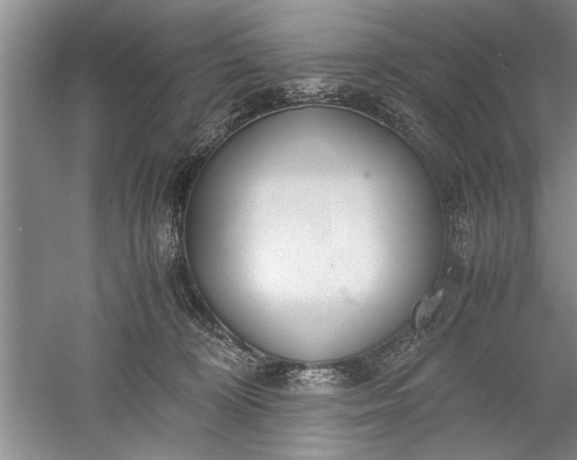 X0000052550324200507152206