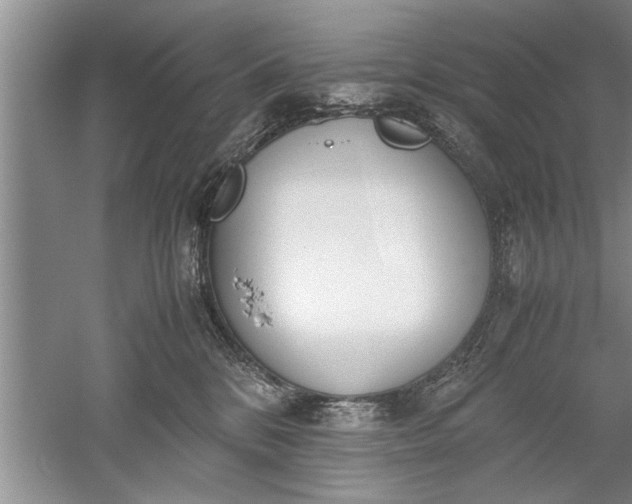 X0000052550328200507152206