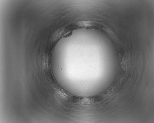 X0000052550330200507152206