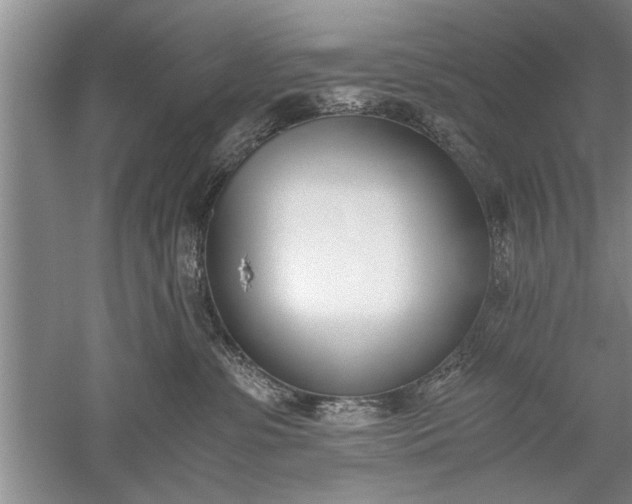 X0000052550331200507152206