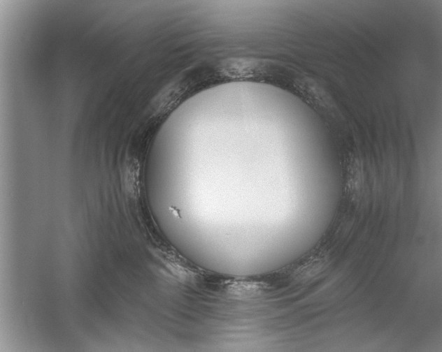 X0000052550332200507152206