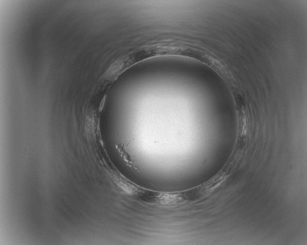 X0000052550333200507152206