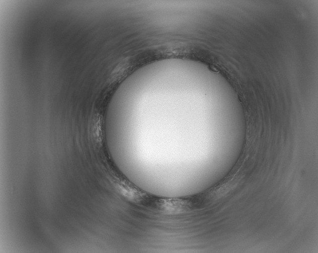 X0000052550336200507152206