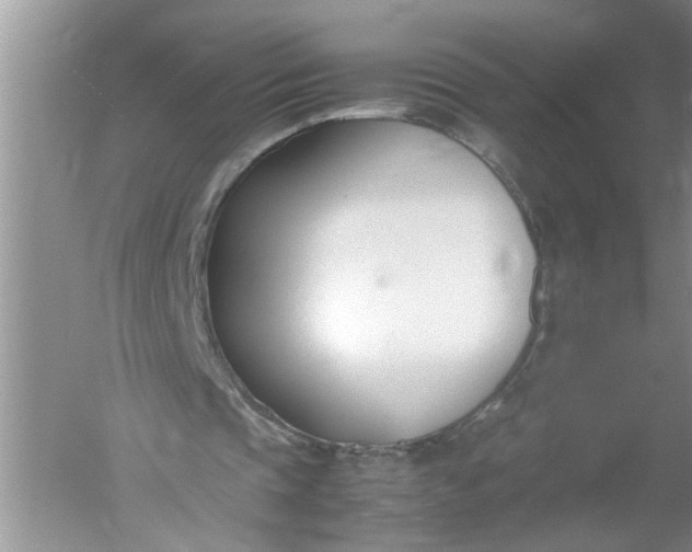 X0000052550337200507152205