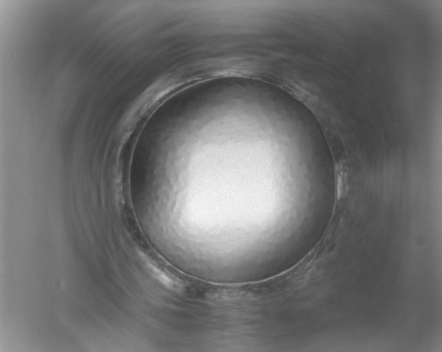 X0000052550339200507152205