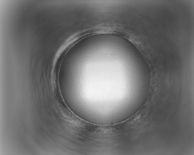 X0000052550343200507152205