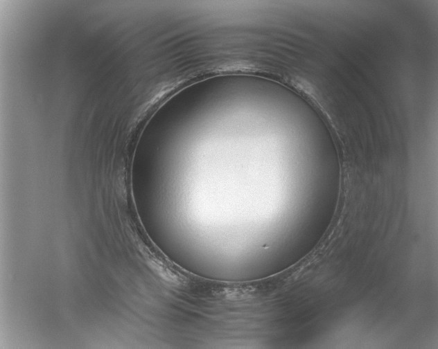 X0000052550345200507152205