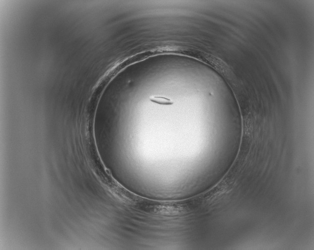 X0000052550347200507152205