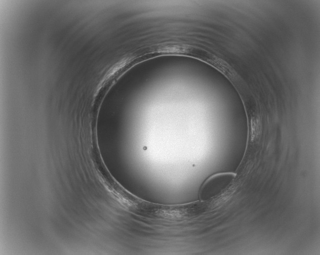 X0000052550349200507152205