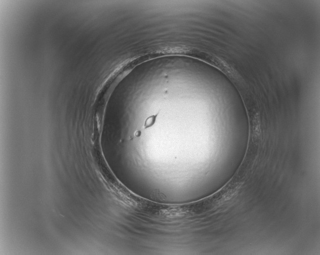 X0000052550351200507152205