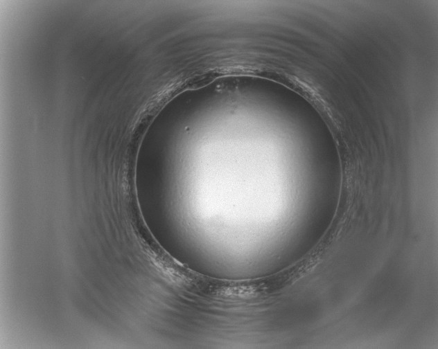 X0000052550353200507152205