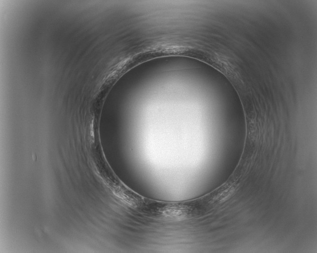 X0000052550358200507152206