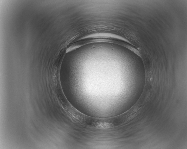 X0000052550360200507152206