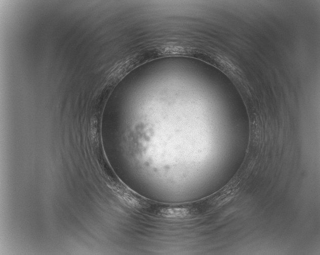 X0000052550361200507152206