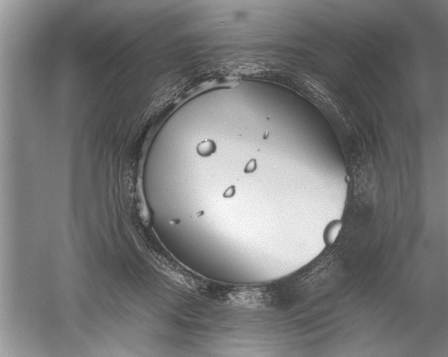 X0000052550362200507152206