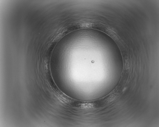 X0000052550363200507152206