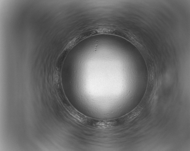 X0000052550367200507152206