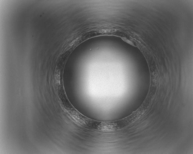 X0000052550368200507152206