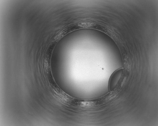 X0000052550371200507152206