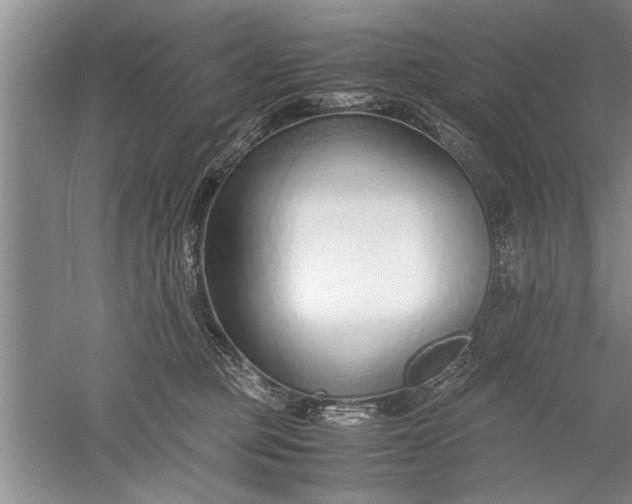 X0000052550373200507152206