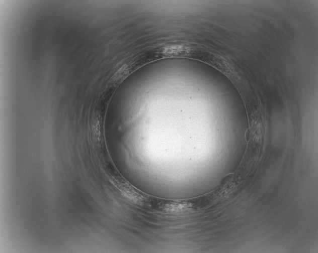 X0000052550375200507152206