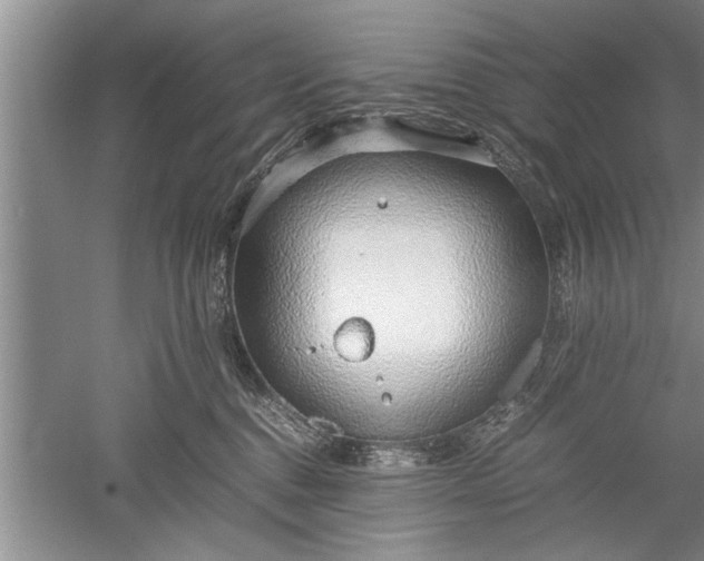 X0000052550376200507152206