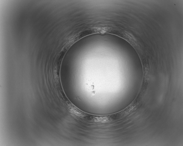 X0000052550377200507152206