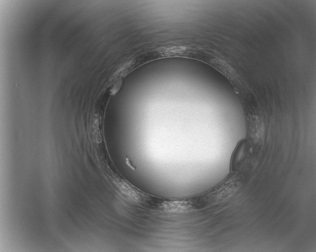 X0000052550378200507152206