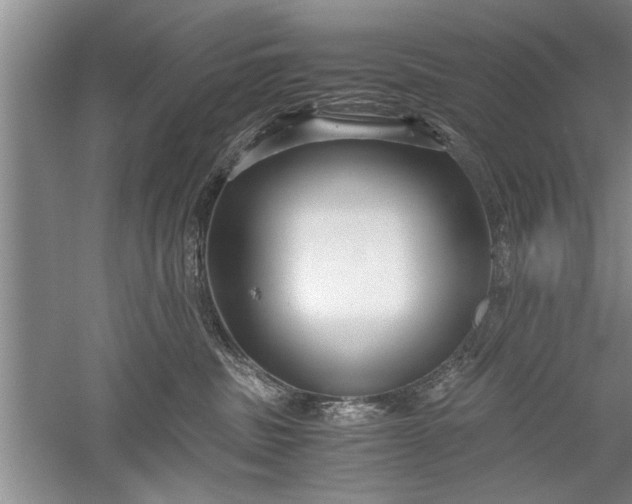 X0000052550379200507152206