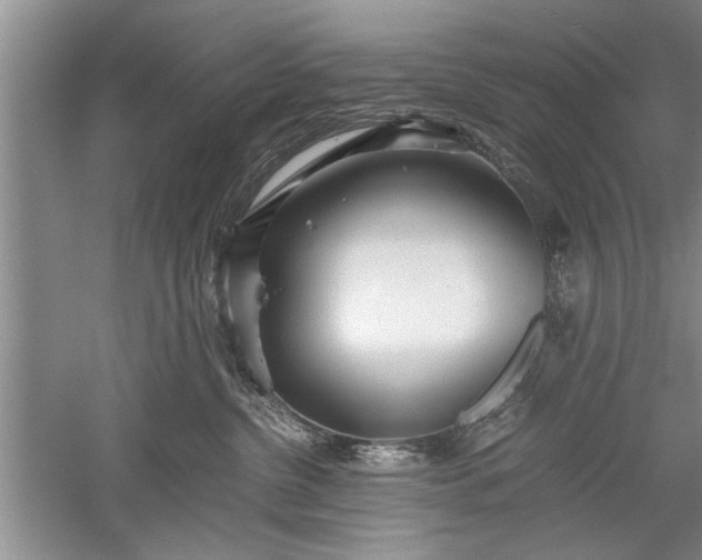 X0000052550380200507152206