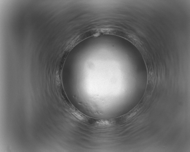 X0000052550381200507152206