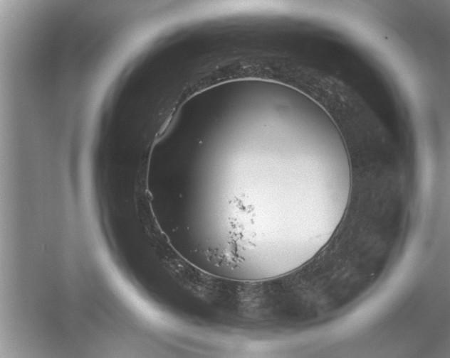 X0000052550382200507152206