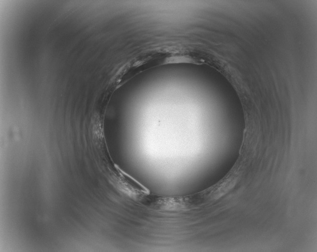 X0000052550384200507152206