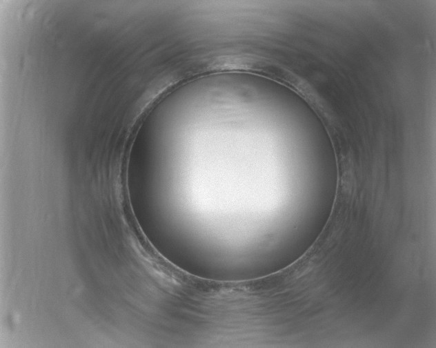 X0000052550386200507152205