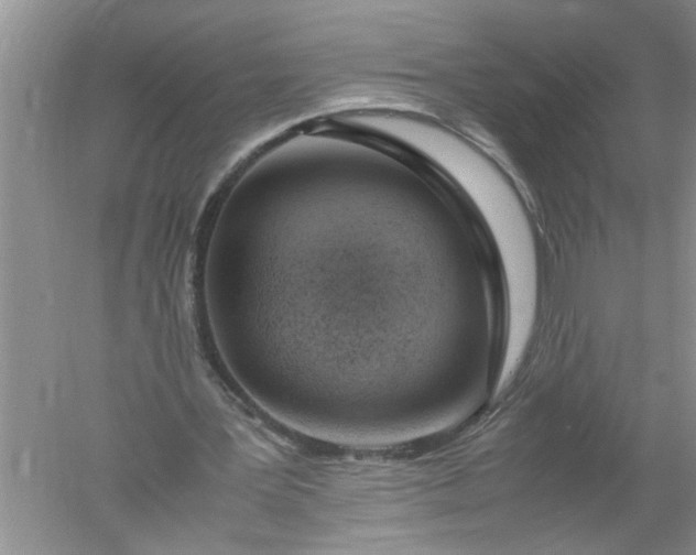 X0000052550387200507152205