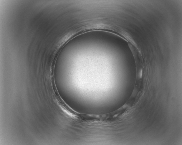 X0000052550389200507152205