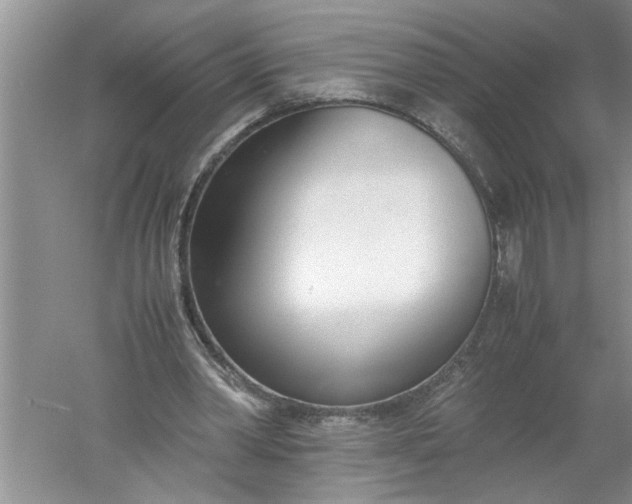 X0000052550390200507152205