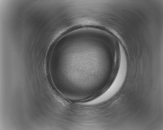 X0000052550391200507152205