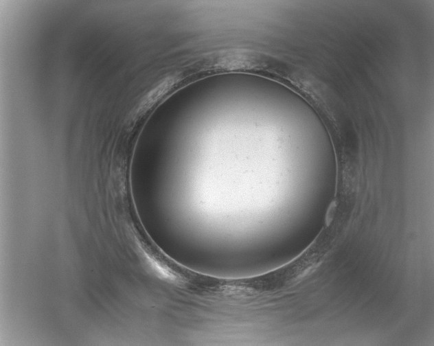 X0000052550393200507152205