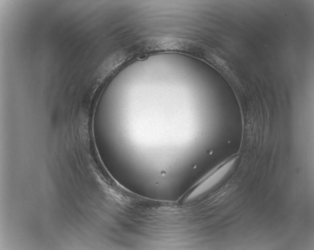 X0000052550394200507152205