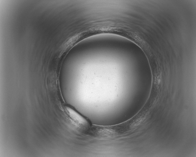 X0000052550397200507152205