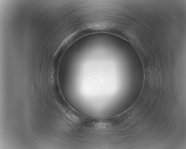 X0000052550400200507152205