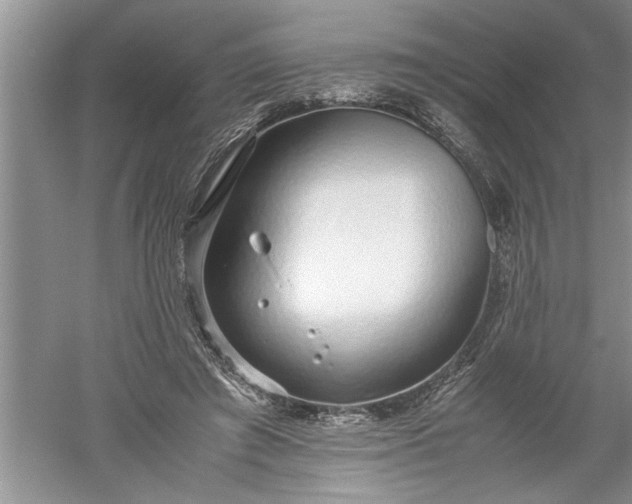 X0000052550401200507152205