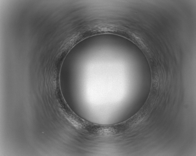 X0000052550402200507152205