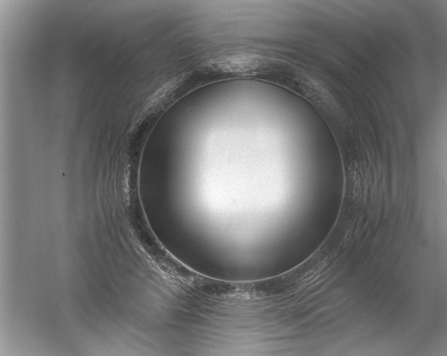 X0000052550404200507152205