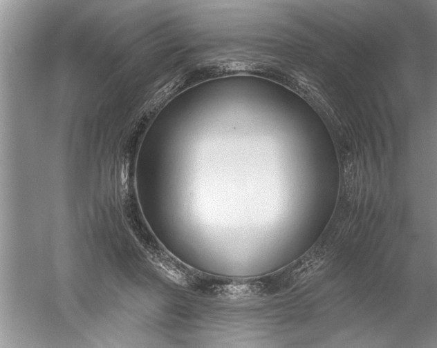 X0000052550406200507152205